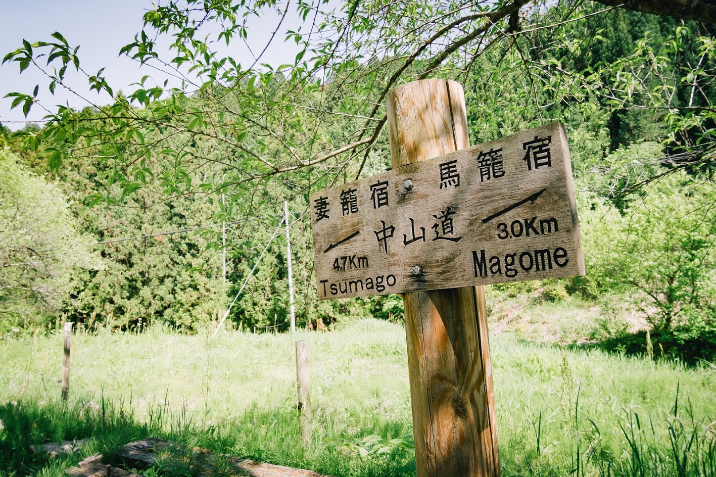 เดินป่าญี่ปุ่น : จาก Magome ถึง Tsumago